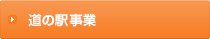道の駅事業