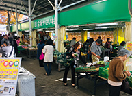 地場産農産物の販路拡大をサポート